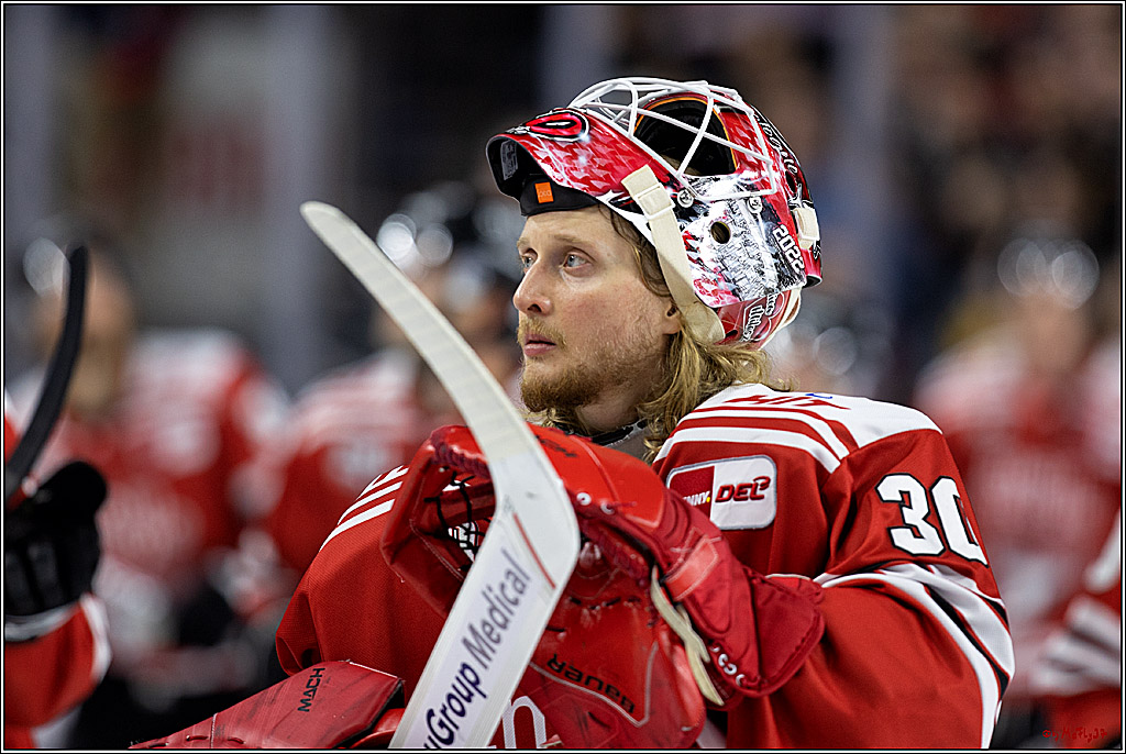 PENNY DEL;  Kölner Haie - Adler Mannheim; Köln, 04.11.2022